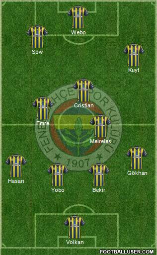 Fenerbahçe SK Formation 2013
