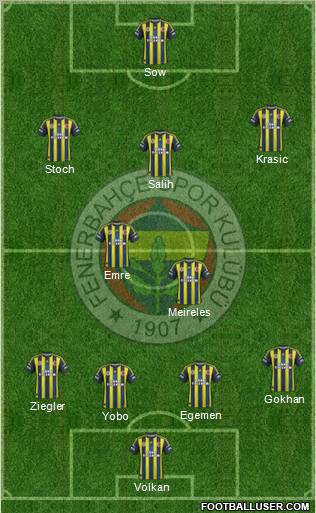 Fenerbahçe SK Formation 2013