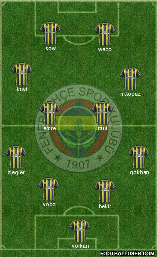 Fenerbahçe SK Formation 2013