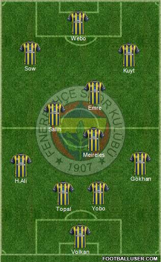 Fenerbahçe SK Formation 2013