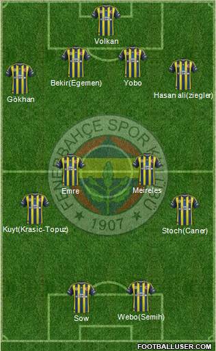 Fenerbahçe SK Formation 2013
