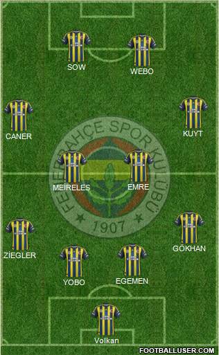 Fenerbahçe SK Formation 2013