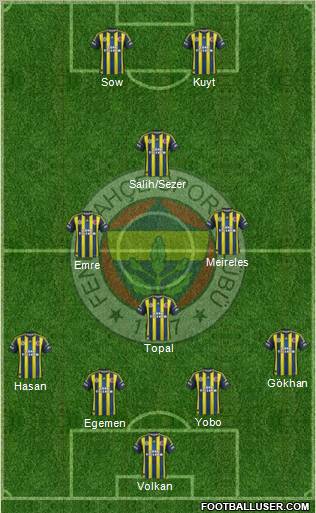 Fenerbahçe SK Formation 2013
