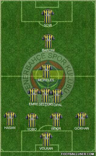 Fenerbahçe SK Formation 2013