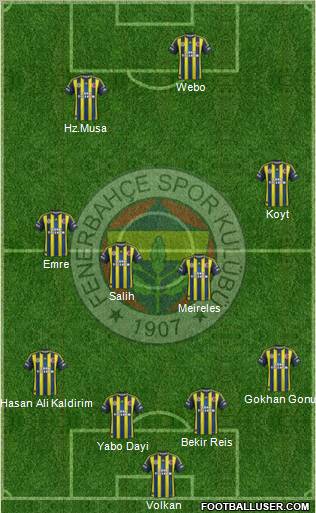 Fenerbahçe SK Formation 2013