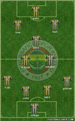 Fenerbahçe SK Formation 2013