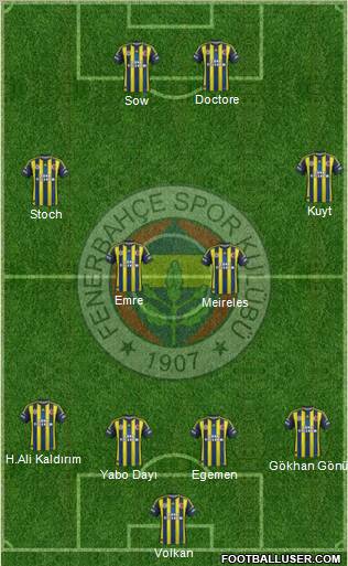 Fenerbahçe SK Formation 2013