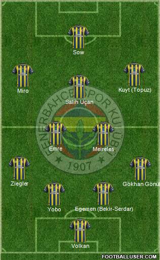 Fenerbahçe SK Formation 2013
