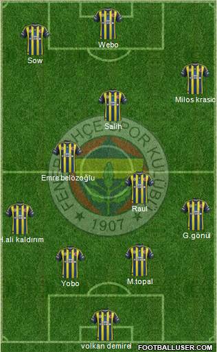 Fenerbahçe SK Formation 2013