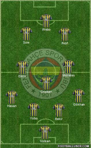 Fenerbahçe SK Formation 2013