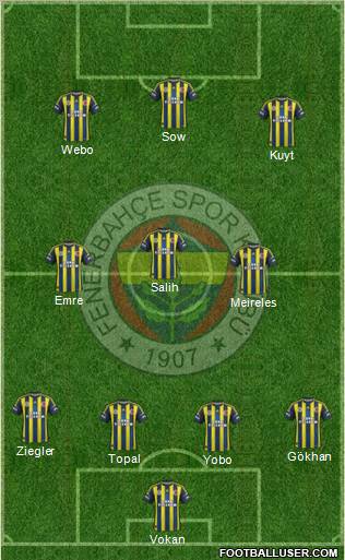 Fenerbahçe SK Formation 2013