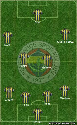 Fenerbahçe SK Formation 2013