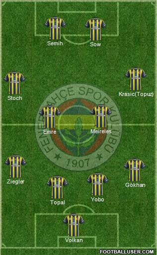 Fenerbahçe SK Formation 2013