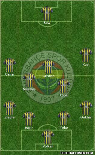 Fenerbahçe SK Formation 2013