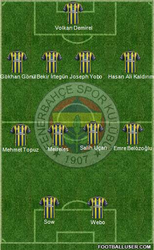 Fenerbahçe SK Formation 2013