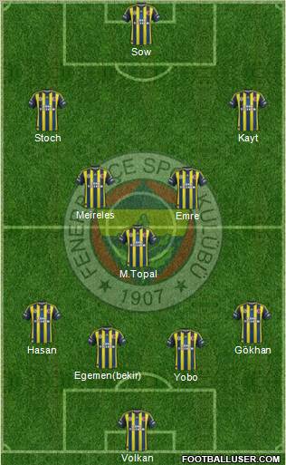 Fenerbahçe SK Formation 2013
