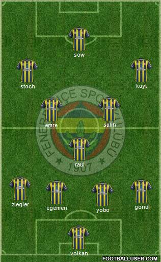 Fenerbahçe SK Formation 2013