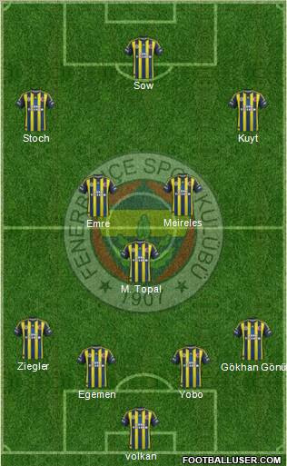 Fenerbahçe SK Formation 2013