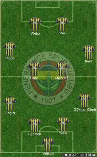 Fenerbahçe SK Formation 2013