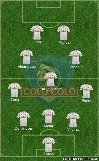 CSD Colo Colo Formation 2013