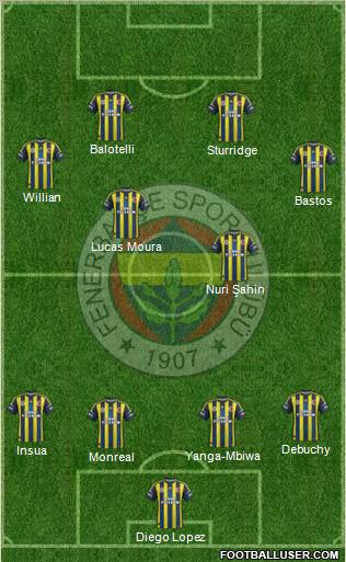 Fenerbahçe SK Formation 2013