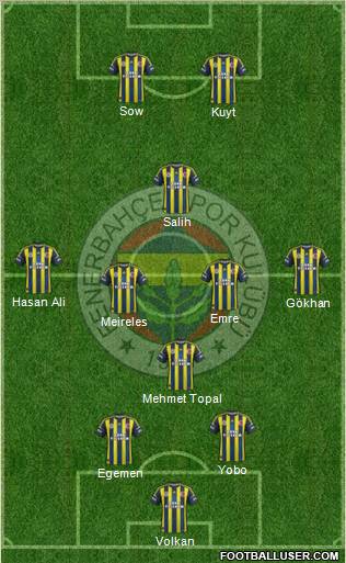 Fenerbahçe SK Formation 2013