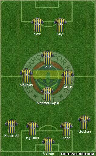 Fenerbahçe SK Formation 2013