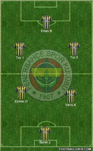 Fenerbahçe SK Formation 2013