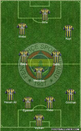Fenerbahçe SK Formation 2013