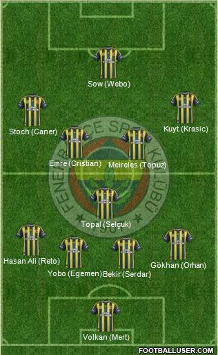 Fenerbahçe SK Formation 2013