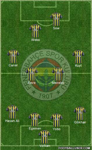 Fenerbahçe SK Formation 2013