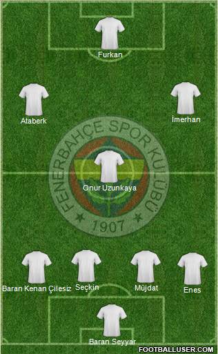 Fenerbahçe SK Formation 2013