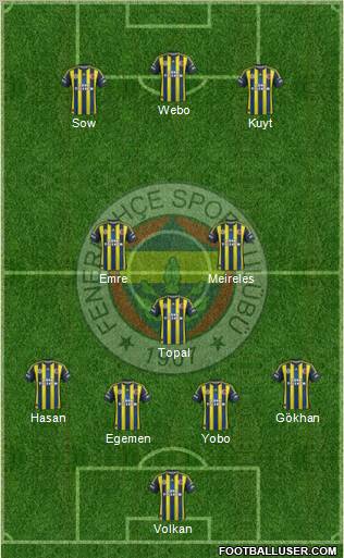 Fenerbahçe SK Formation 2013