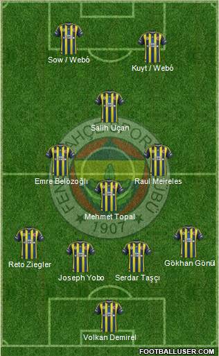 Fenerbahçe SK Formation 2013