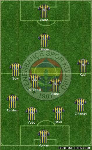 Fenerbahçe SK Formation 2013