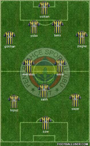Fenerbahçe SK Formation 2013