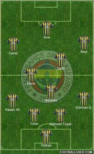 Fenerbahçe SK Formation 2013