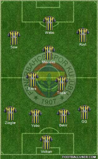 Fenerbahçe SK Formation 2013