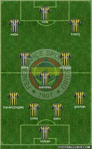 Fenerbahçe SK Formation 2013