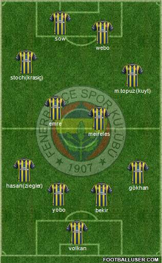 Fenerbahçe SK Formation 2013