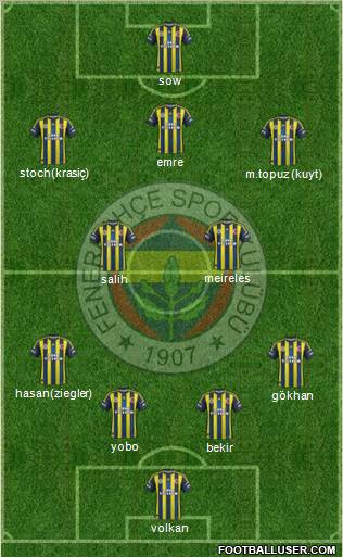 Fenerbahçe SK Formation 2013
