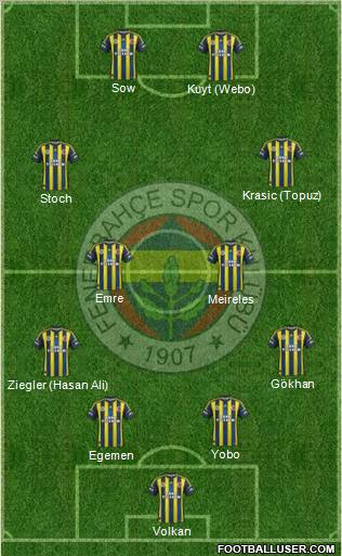 Fenerbahçe SK Formation 2013