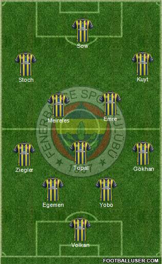 Fenerbahçe SK Formation 2013