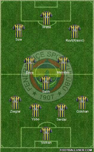 Fenerbahçe SK Formation 2013
