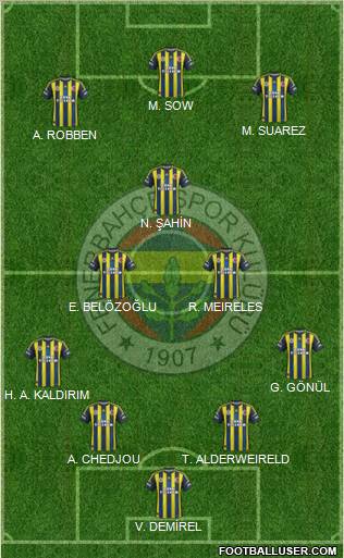 Fenerbahçe SK Formation 2013