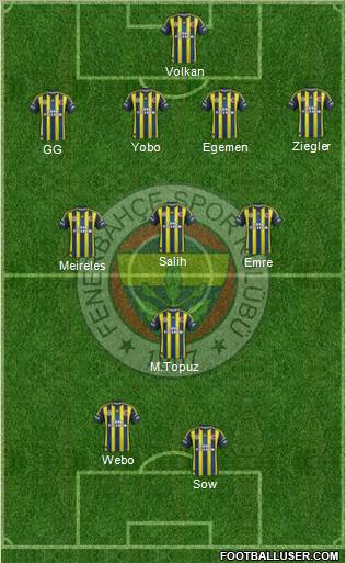 Fenerbahçe SK Formation 2013
