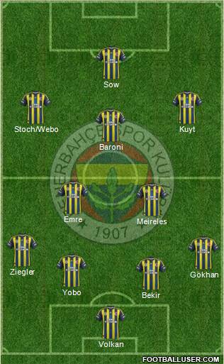 Fenerbahçe SK Formation 2013