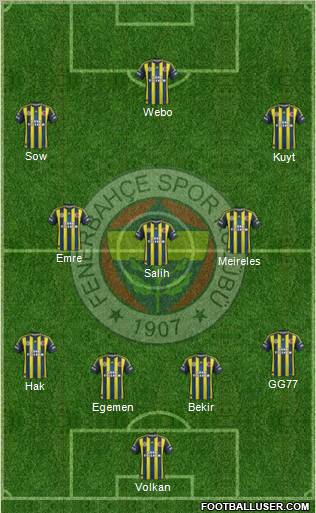 Fenerbahçe SK Formation 2013