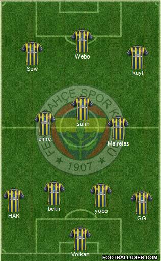 Fenerbahçe SK Formation 2013