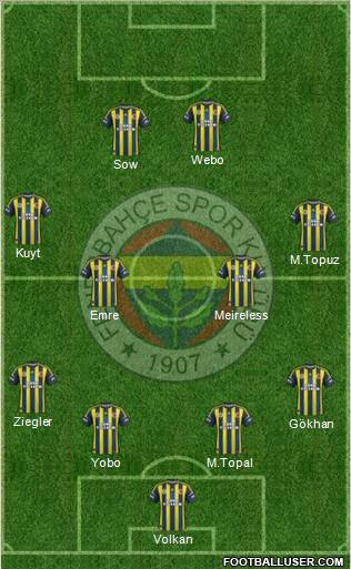 Fenerbahçe SK Formation 2013